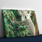 Koala Eucalyptus - Paint By Number
