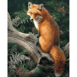 Fox on a Tree Stump