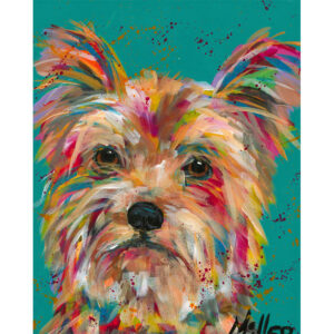 Abstract Yorkie